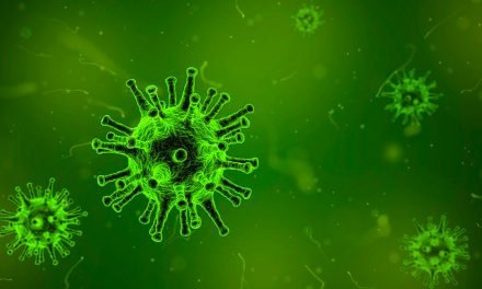 Investigan un “raro” y nuevo virus que causó una muerte en Brasil
