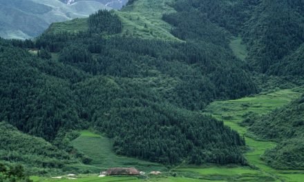 La NASA informó que la Tierra está más verde que hace 20 años