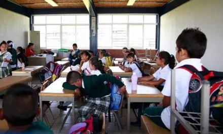 Regreso a clases iniciará el 24 de agosto a distancia: SEP