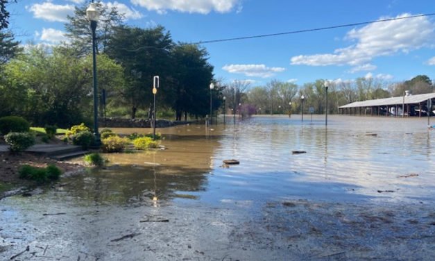 La comunidad del condado de Williamson sufre inundaciones generadas por tormentas