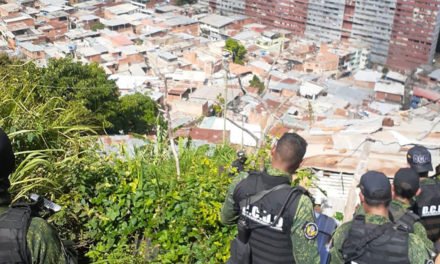Armas de alto calibre, municiones y fauna en peligro: la insólita incautación a la banda criminal del ‘Koki’ en Caracas