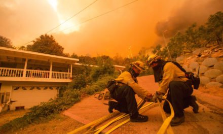 Ola de calor dificulta combate de voraz incendio forestal en California