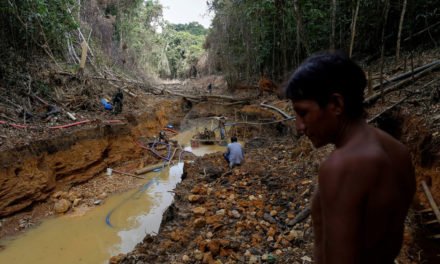 La minería ilegal aumentó en diez años casi 500 % en las tierras indígenas de Brasil