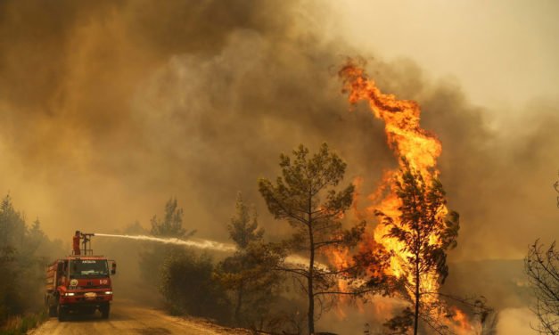 Turquía evacúa la ciudad turística de Bodrum por incendios forestales, y Erdogan admite que serían provocados