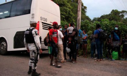 AMLO pide a empresas transportistas que no trasladen a inmigrantes