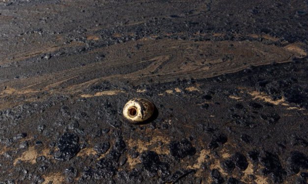 Derrame de petróleo ‘importante’ frente a la costa de California amenaza los humedales y la vida silvestre