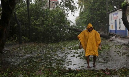 Inicia la COP26: ¿Qué se propone para alcanzar la neutralidad de carbono?