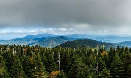 Se cierran varias carreteras en el Great Smoky Mountains National Park antes de la tormenta de invierno