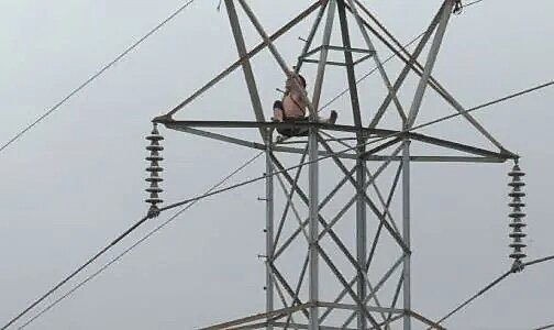 Un hombre pasa 4 horas en lo alto de una torre eléctrica de Carolina del Norte; miles se quedan sin electricidad por intento de rescate