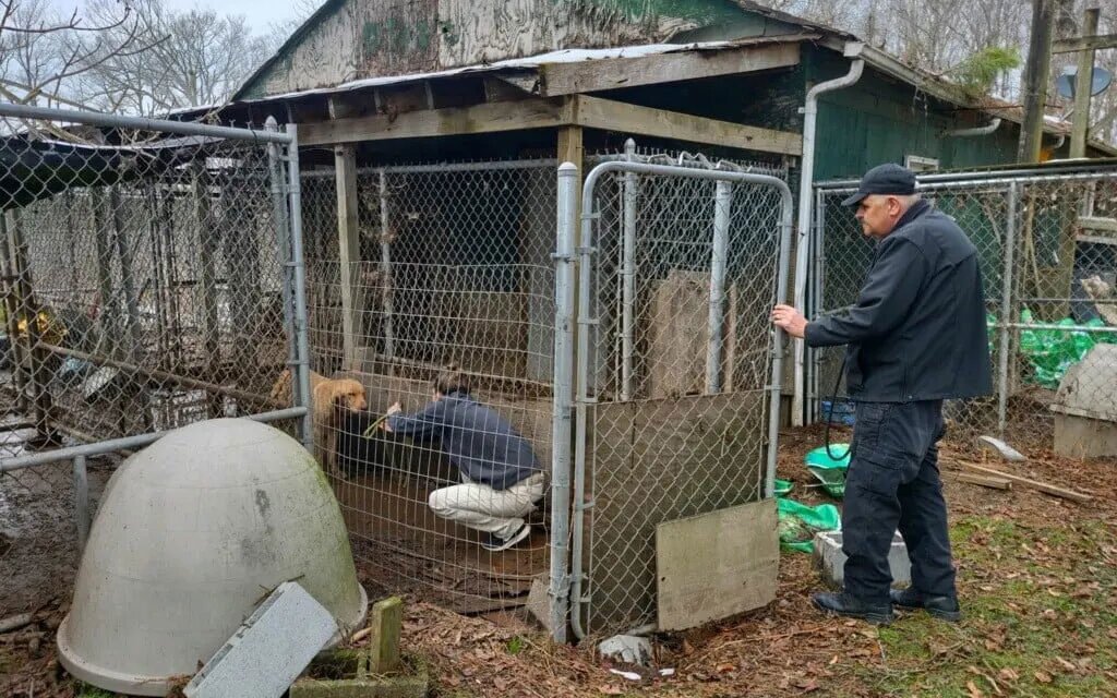 Un perro muere y 60 más son rescatados de condiciones ‘antihigiénicas e inhumanas’