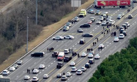 Un Hombre en la I-65 es baleado, por la policía