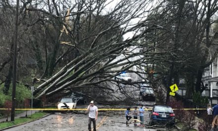 Área de Nashville sufre daños menores por tormentas