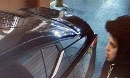 MNPD busca conductor que atropelló coche policial marcado con vehículo robado