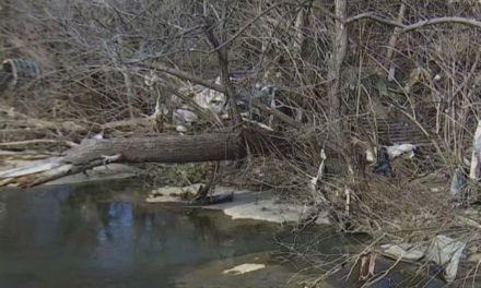 Los voluntarios recogen más de 910 libras de basura durante la limpieza en Lytle Creek