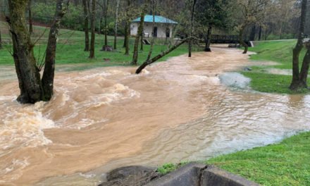 Daños por tormentas e inundaciones en el centro de Tennessee