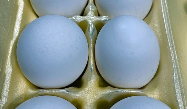 Los precios del huevo suben a medida que empeora la gripe aviar