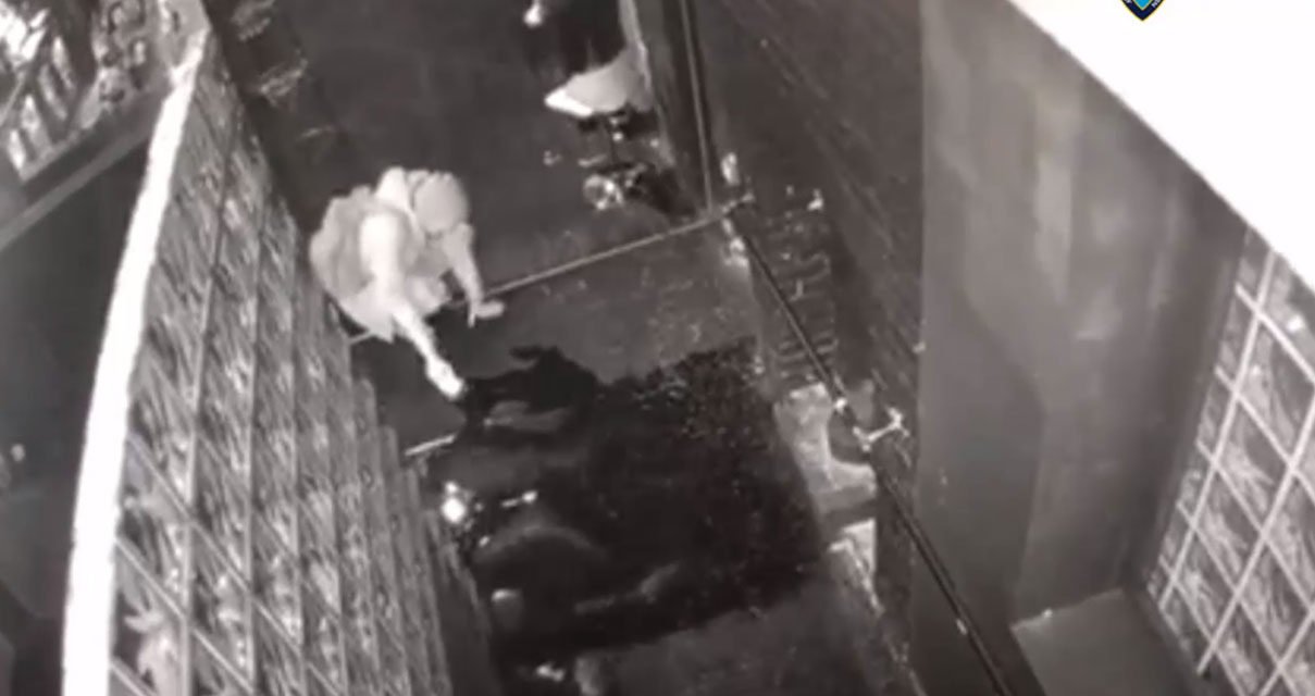 ‘Llamas hasta el techo’: pirómano prende fuego a un bar LGBTQ en Nueva York después de arrojar gas en el piso, muestra un video