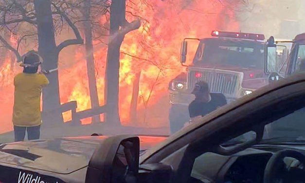 La División Forestal de Tennessee muestra las áreas afectadas por incendios forestales en el condado de Sevier