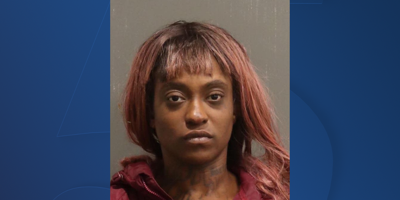 Mujer arrestada después de apuñalar fatalmente a un hombre en Murfreesboro Pike