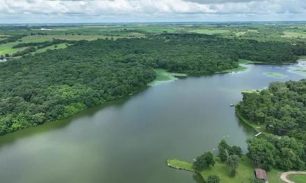 Playa de Iowa cerrada después de que un hombre se infectara con ameba ‘come-cerebros’