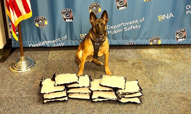 Un K-9 detecta con su olfato más de 30 libras de metanfetamina en BNA