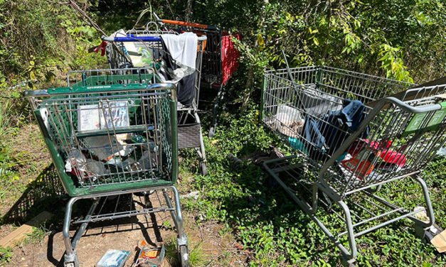 Vecinos de Madison ‘prácticamente ruegan ayuda a la ciudad’ en medio de problemas de seguridad y basura