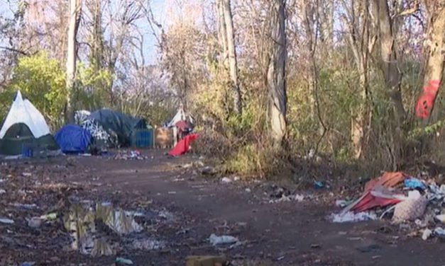Empresas del sur de Nashville que se ocupan diariamente de basura, vidrio y heces humanas