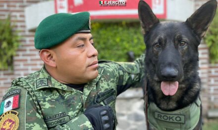 Entregan certificados de honor a perros rescatistas mexicanos