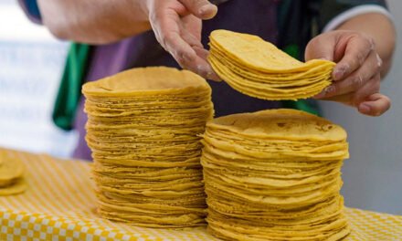 México analizará la presencia de maíz transgénico en tortillas en medio de disputa comercial con EE.UU.