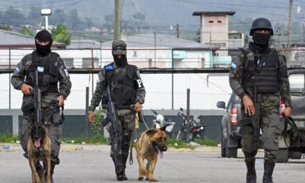 Narco pandillas y control territorial: Lo que hay detrás de la cruenta pelea que enluta a Honduras