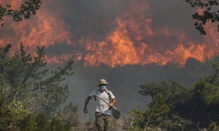 Ola de calor sin precedentes: incendios forestales azotan 4 continentes