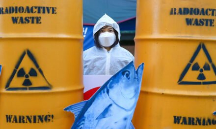 Pesca y exportaciones de cosméticos en riesgo: opositores alertan sobre descargar el agua de Fukushima