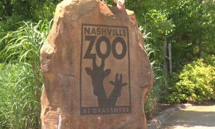 El zoológico de Nashville se asocia con BridgesTN para organizar el ‘Día para los sordomudos en el zoológico’