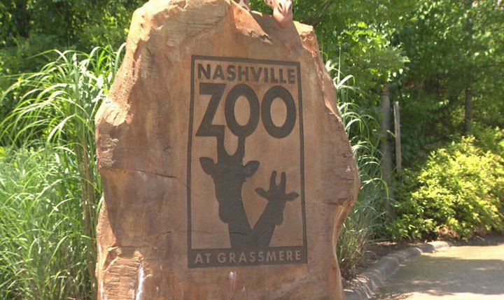 El zoológico de Nashville se asocia con BridgesTN para organizar el ‘Día para los sordomudos en el zoológico’