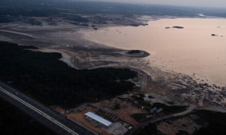 El río Negro de Brasil registra el nivel más bajo de agua en 120 años