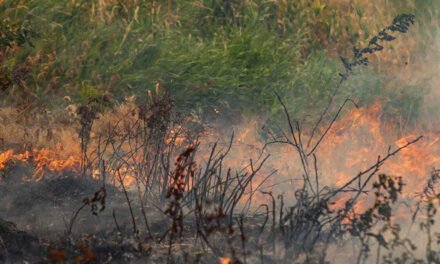 Las condiciones de sequía empeoran en Tennessee, lo que lleva a más prohibiciones de quemas e incendios forestales