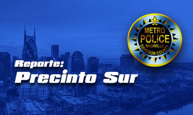 Reporte: Precinto Sur / MNPD