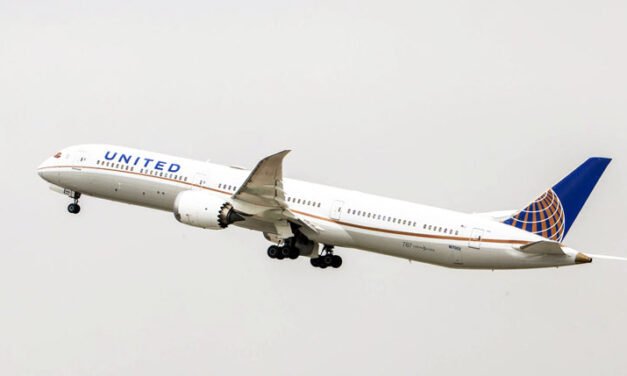 “Turbulencias extremas” dejan 22 pasajeros heridos en un avión que aterrizó de emergencia en EE.UU.