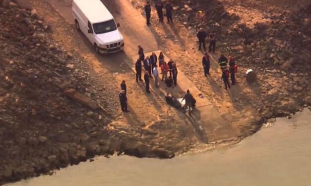 El cuerpo de Riley Strain recuperado del río Cumberland en el oeste de Nashville el viernes