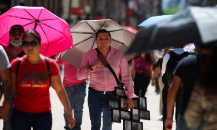 El calor mata; este es el saldo rojo que han dejado las olas de calor en México