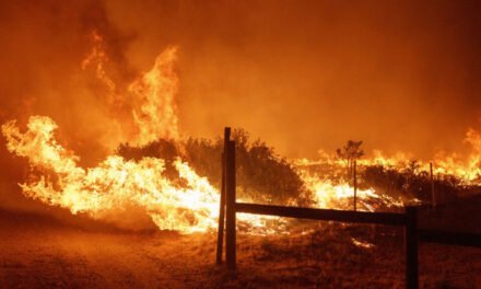 Un incendio forestal en el condado de Los Ángeles arrasa 16.000 acres