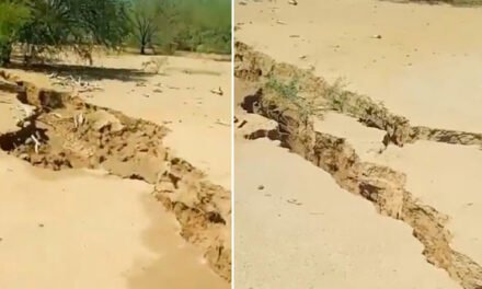 Una repentina grieta gigante se traga a varios becerros en un desierto mexicano