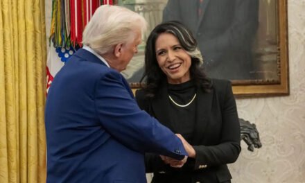 Tulsi Gabbard es nombrada como nueva directora de Inteligencia Nacional