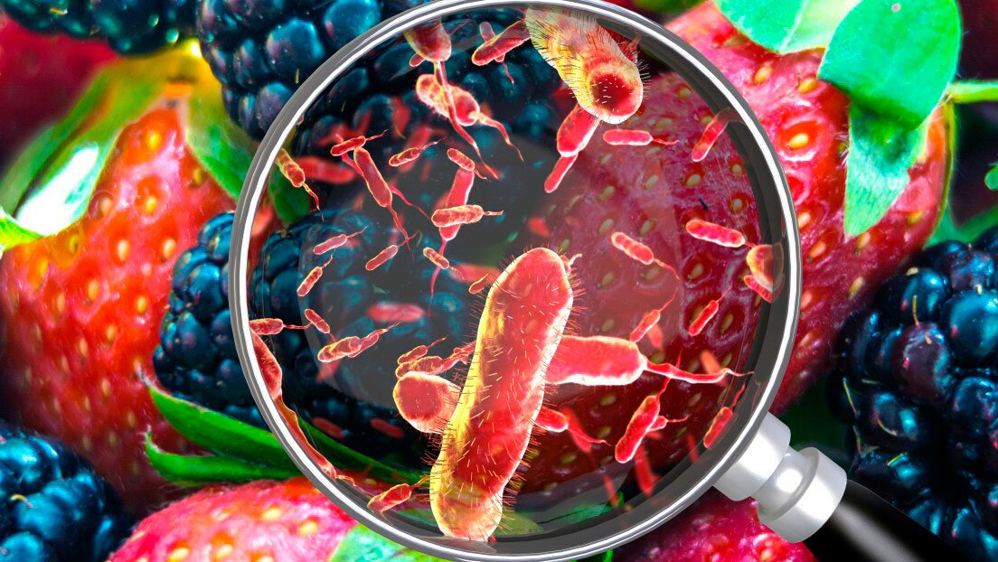 Peligro de listeria: la FDA informa de 11 muertes por batidos congelados contaminados