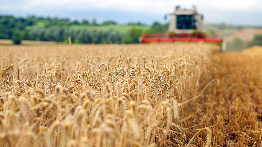 Alertan de seria amenaza para las reservas mundiales de alimentos