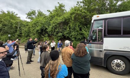 Defensores de inmigrantes expresan preocupación tras arrestos de ICE en Nashville