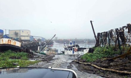 Múltiples alertas de tsunami en el mundo luego del potente terremoto en Rusia