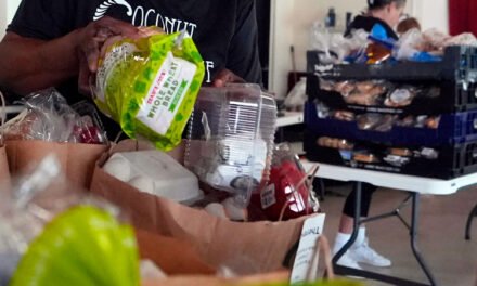 Demócratas de Tn. piden al gobernador Lee cubrir las brechas de financiación federal