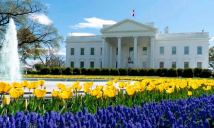 Estados Unidos pone fin a su cierre de Gobierno más prolongado de la historia