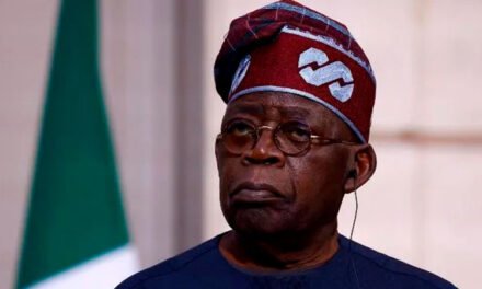 Nigeria forma una alianza con EE.UU. para atacar Estado Islámico